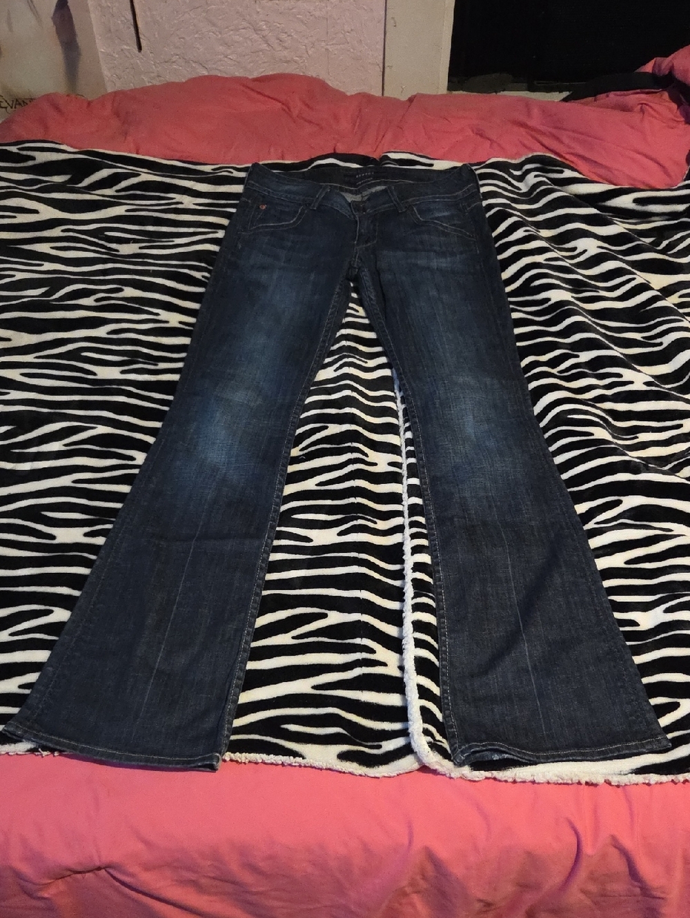 Hudson Jeans